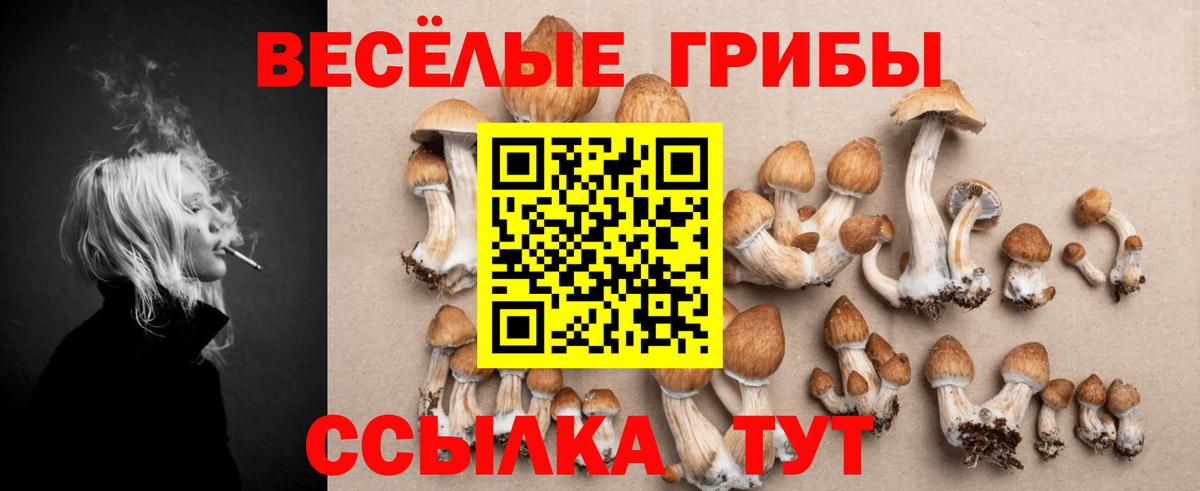 Кореновск  Галлюциногенные грибы GOLDEN TEACHER  даркнет сайт  Вход с VPN 