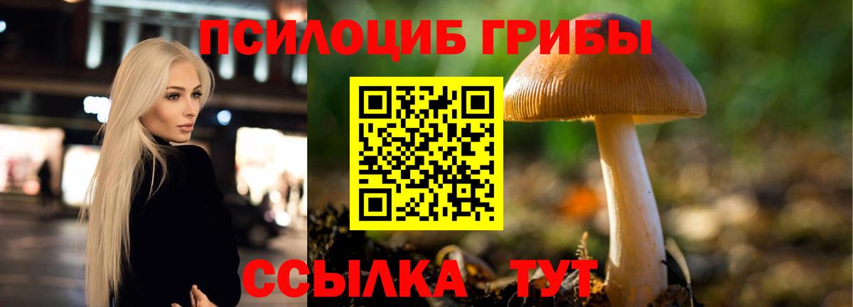Псилоцибиновые грибы мухоморы Кореновск